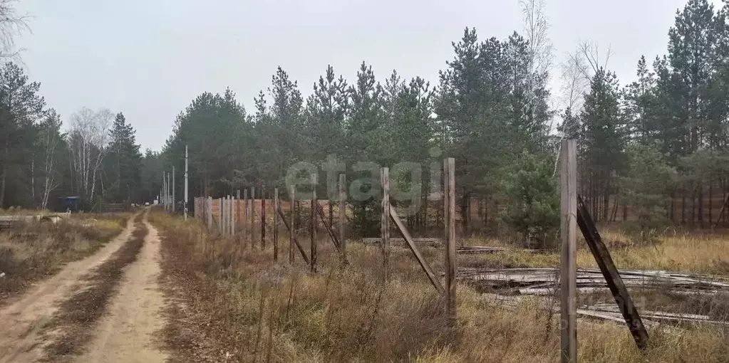 Участок в Воронежская область, Рамонский район, Новоживотинновское ... - Фото 1