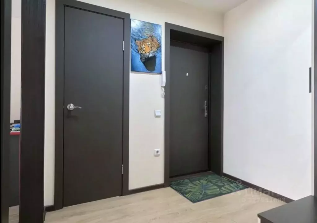 1-к кв. Томская область, Томск Сибирская ул., 115 (42.7 м) - Фото 1