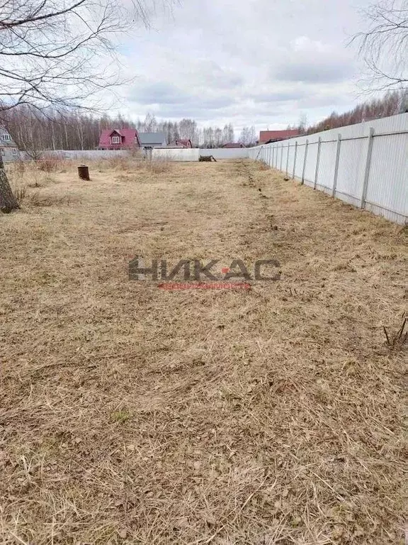 Участок в Ярославская область, Некрасовский муниципальный округ, д. ... - Фото 2