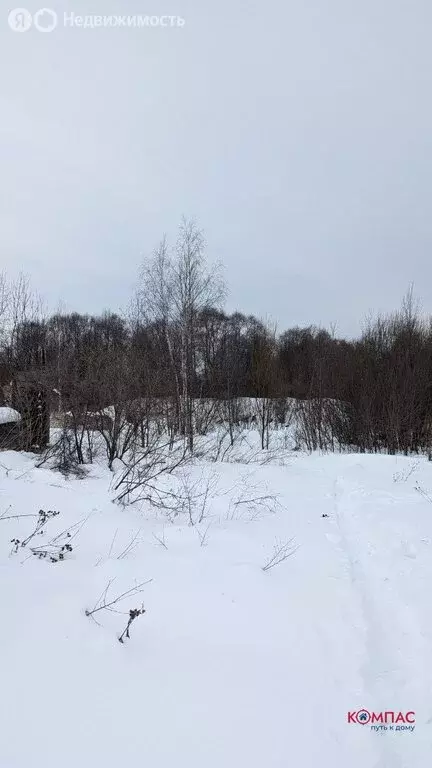 Участок в Оршанский район, Великопольское сельское поселение, посёлок ... - Фото 0