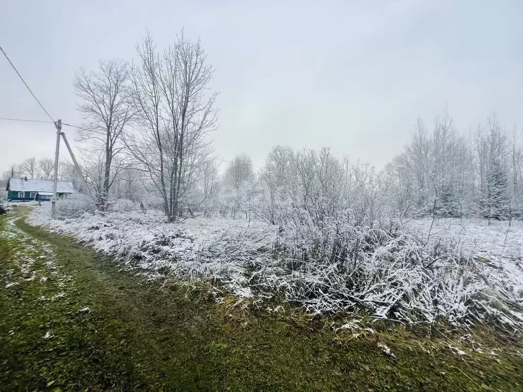 Участок в Смоленская область, Кардымовский муниципальный округ, ... - Фото 0