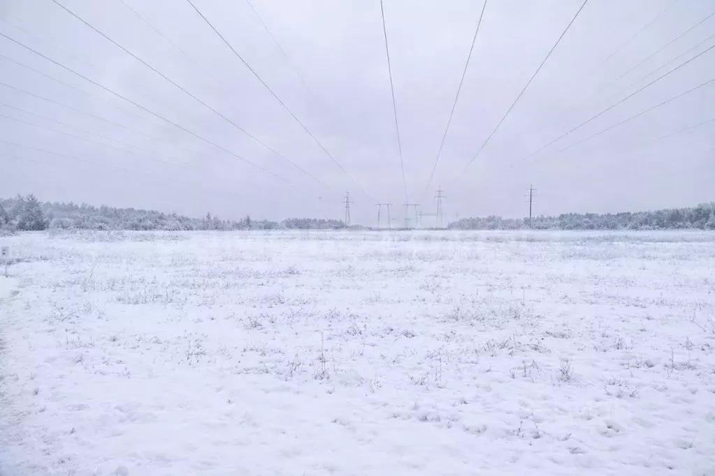 Участок в Московская область, Наро-Фоминский городской округ, д. ... - Фото 1