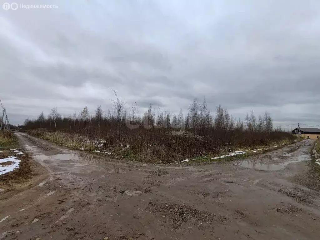 Участок в Московская область, городской округ Воскресенск, село ... - Фото 1