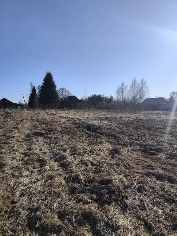 Участок в Тверская область, Старицкий муниципальный округ, д. Лужи  ... - Фото 1