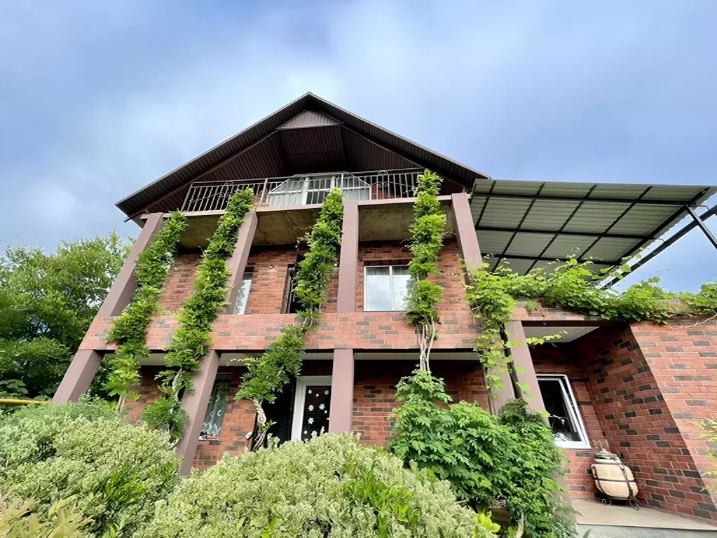 Дом в Краснодарский край, Сочи городской округ, с. Васильевка ул. ... - Фото 1