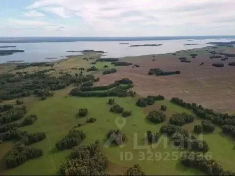 Участок в Новосибирская область, Ордынский район, с. Новопичугово ... - Фото 2