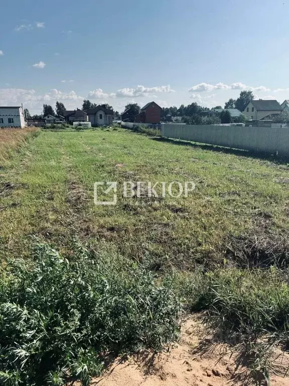 Участок в Костромская область, Костромской район, с. Сущево Школьный ... - Фото 2