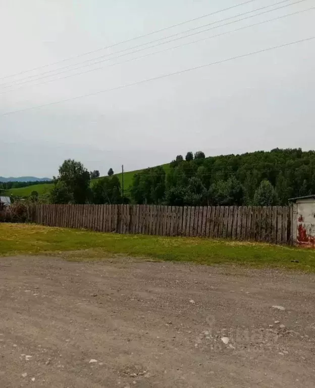 Участок в Алтайский край, Алтайский район, с. Нижнекаянча ул. ... - Фото 1