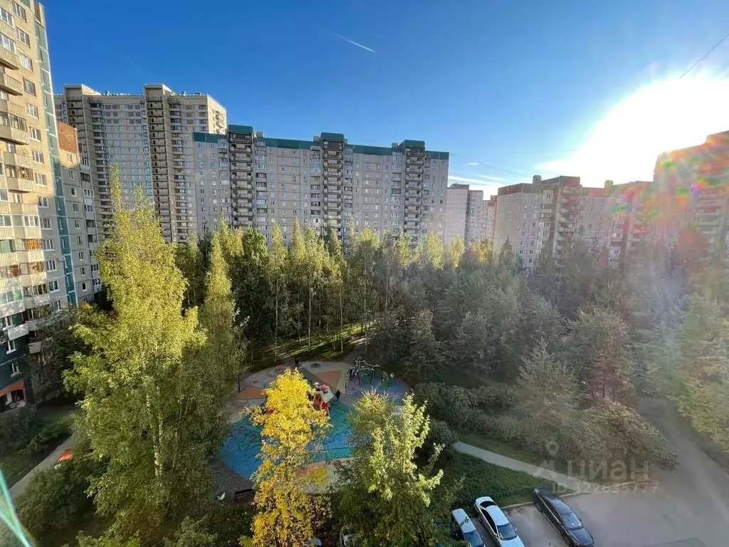 Студия Санкт-Петербург Камышовая ул., 34К2 (33.0 м) - Фото 0