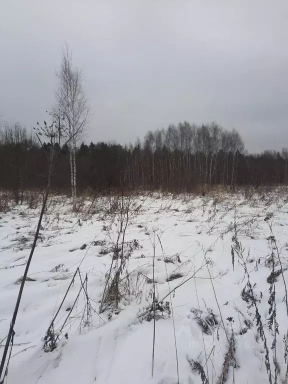 Участок в Московская область, пос. Молодежный  (14.0 сот.) - Фото 1