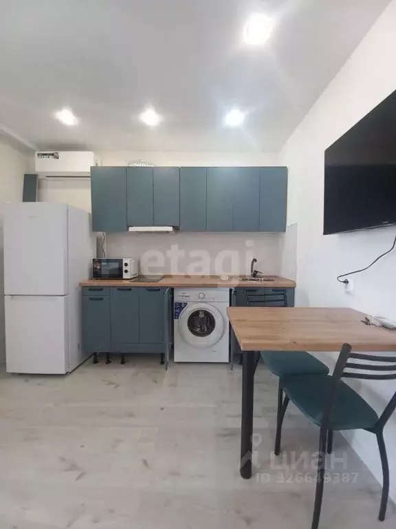 Студия Амурская область, Благовещенский район, с. Чигири ул. ... - Фото 1