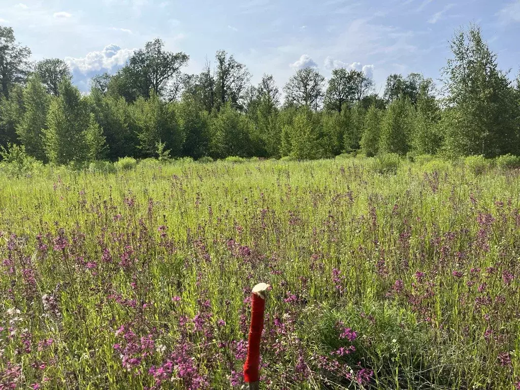 Участок в Нижегородская область, Балахнинский муниципальный округ, ... - Фото 2