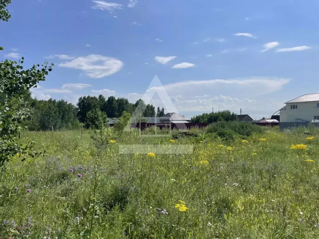 Участок в Челябинская область, Коркино ул. Новоселов (15.15 сот.) - Фото 1
