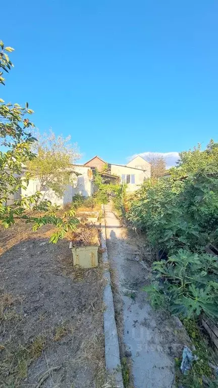 Дом в Севастополь ул. Некрасова, 9 (40 м) - Фото 1