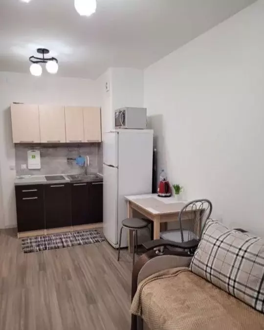 Студия Санкт-Петербург пос. Парголово, ул. Шишкина, 307 (21.0 м) - Фото 2