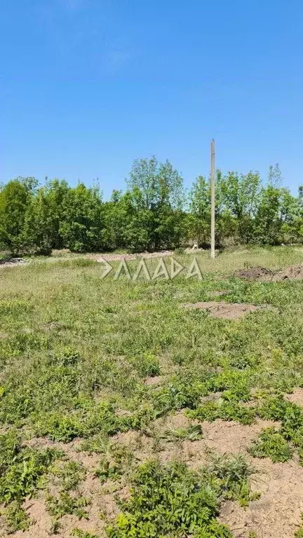 Участок в Ростовская область, Ростов-на-Дону Луч садовое товарищество, ... - Фото 0