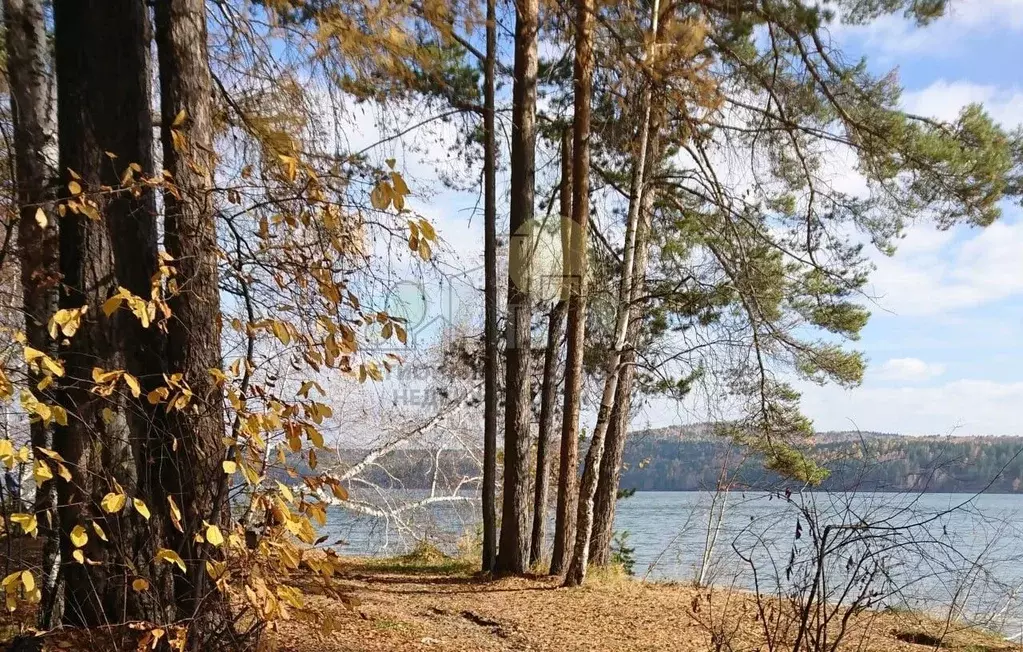Участок в Иркутская область, Иркутский муниципальный округ, Михалево ... - Фото 0