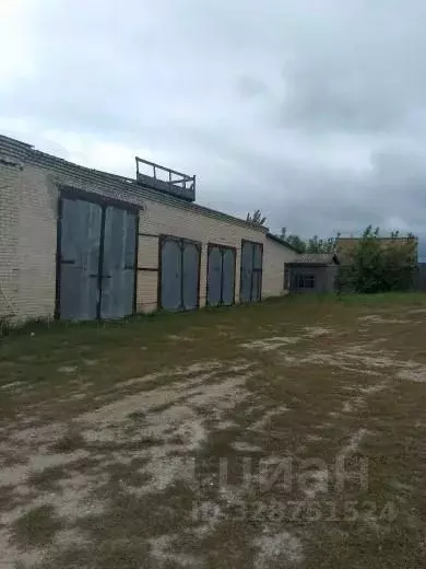 Офис в Ульяновская область, Радищевский район, Дмитриевское с/пос, с. ... - Фото 2