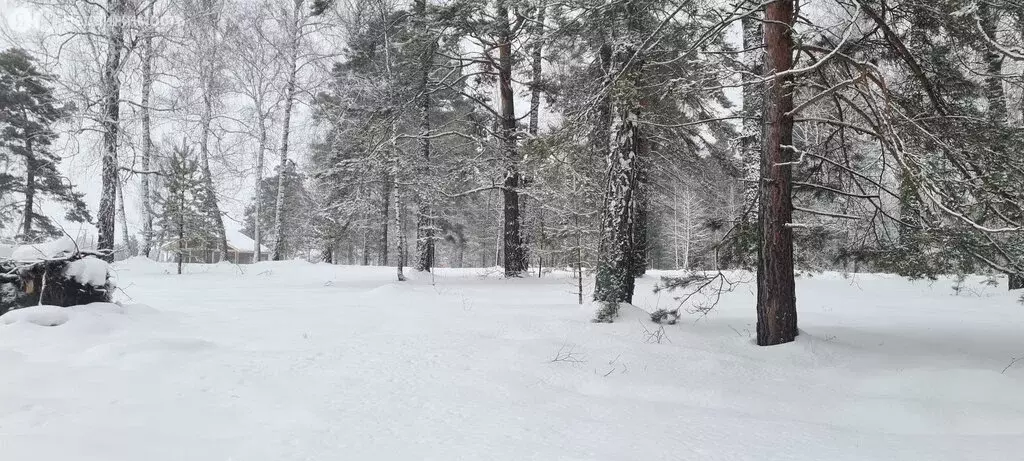 Участок в деревня Кандинка, улица Гагарина (9.1 м) - Фото 2