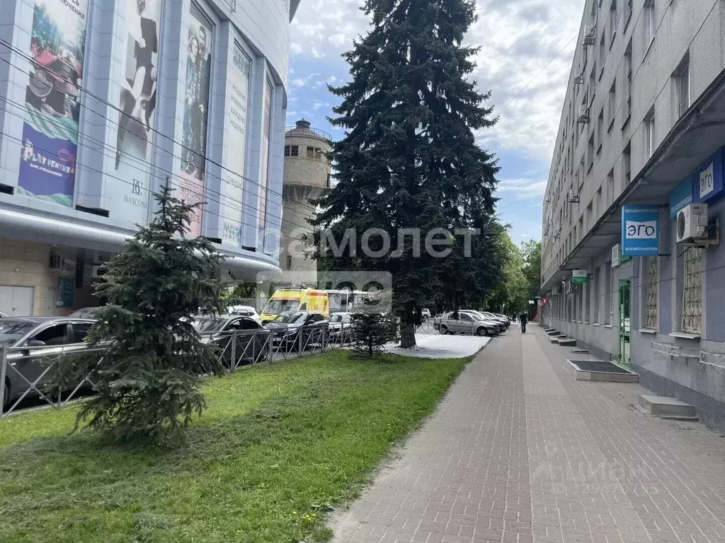 Помещение свободного назначения в Курская область, Курск ул. Павлова, ... - Фото 2