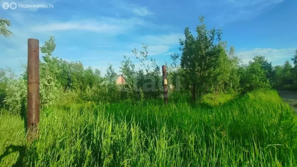 Участок в Усинск, садово-огородное товарищество Коммунальник (8 м) - Фото 1