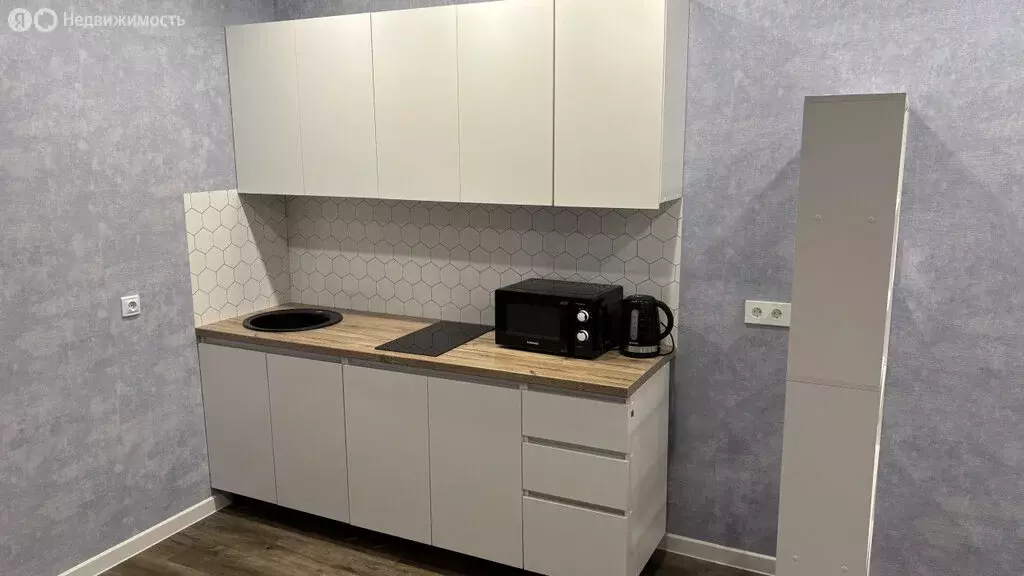 Квартира-студия: село Зубово, улица Ивана Тургенева, 1 (27 м) - Фото 2