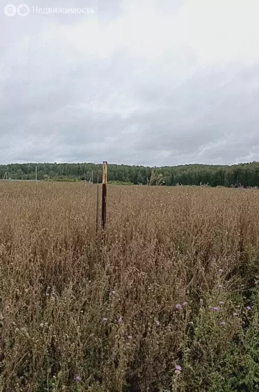 Участок в Челябинская область, Сосновский муниципальный округ, деревня ... - Фото 2