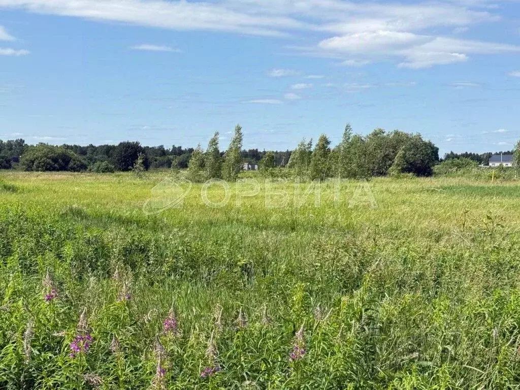 Участок в Тюменская область, Нижнетавдинский район, Душевное садовое ... - Фото 0
