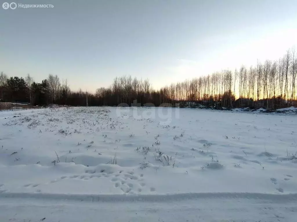 Участок в Ярославская область, Первомайский муниципальный округ, ... - Фото 1