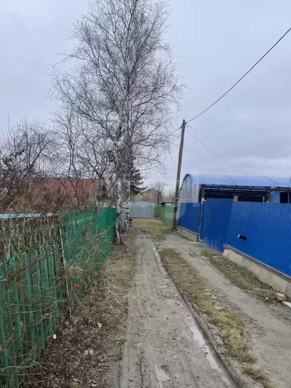 Участок в Тюменская область, Тюмень Корабельщик садовое товарищество,  ... - Фото 1