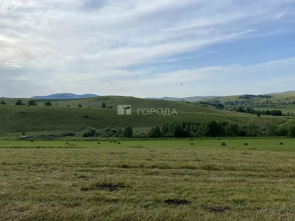 Участок в Алтайский район, ДНТ Жемчужина Алтая (10 м) - Фото 1