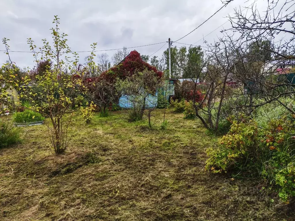 Участок в Тверская область, Тверь Коллективный сад № 5 СНТ, 16 (5.76 ... - Фото 1