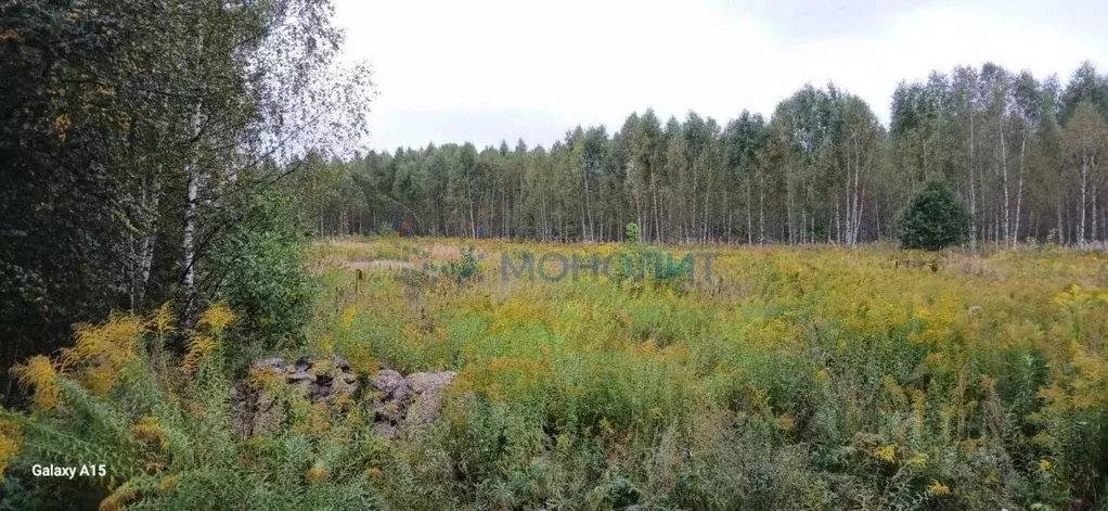 Участок в Нижегородская область, Бор муниципальный округ, д. Заскочиха ... - Фото 1