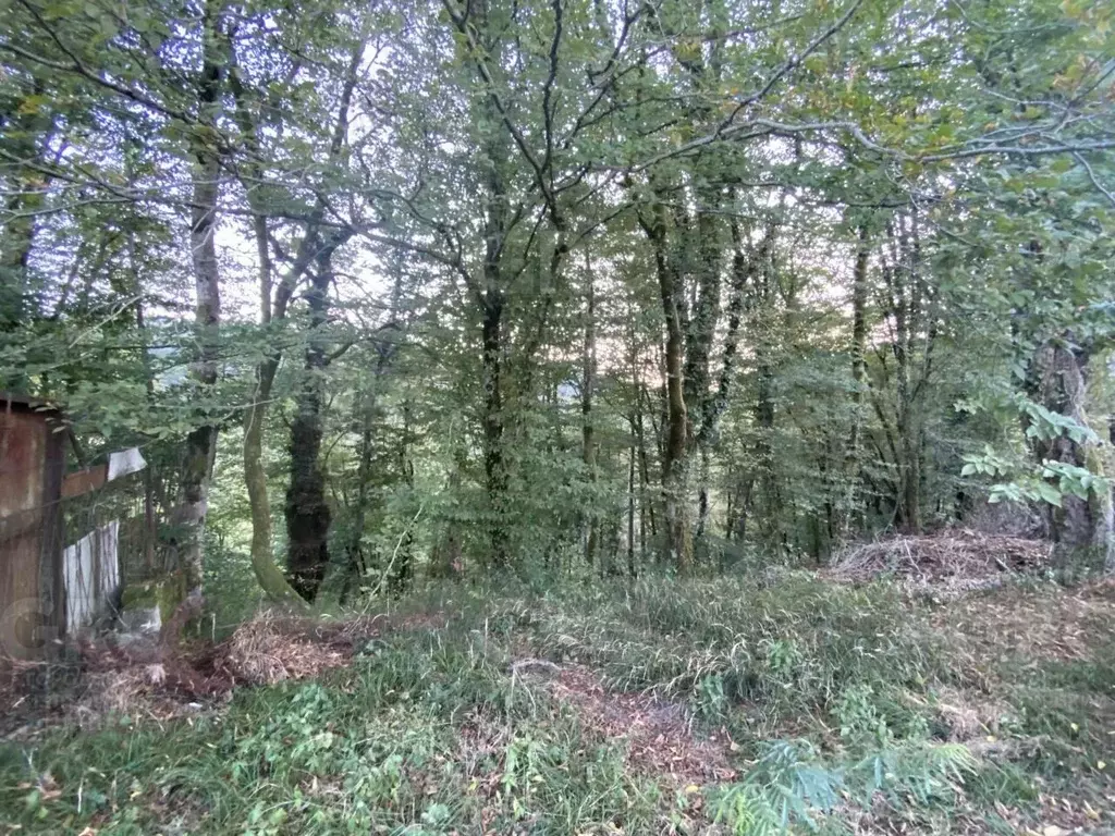 Дом в Краснодарский край, Сочи городской округ, с. Пластунка, Зодчий ... - Фото 2