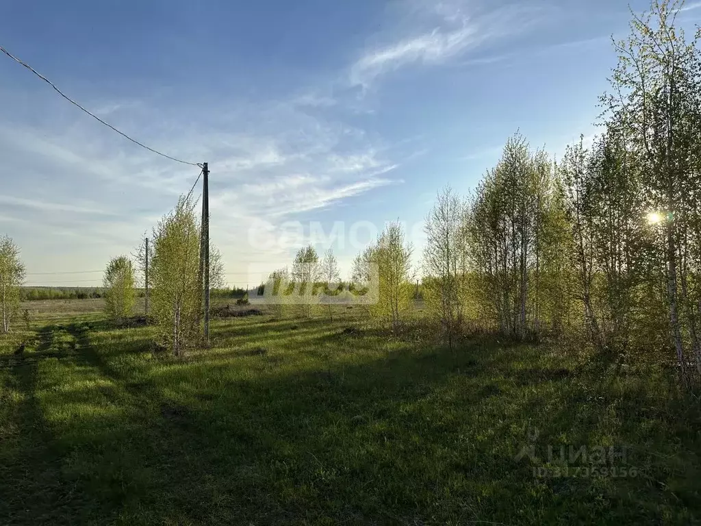 Участок в Челябинская область, Сосновский район, Кременкульское с/пос, ... - Фото 1