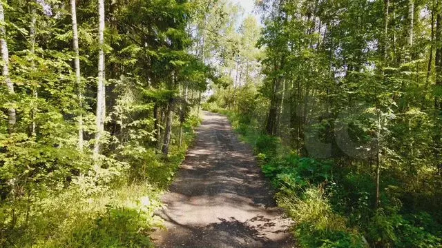 Участок 12,2 сот. (ИЖС) - Фото 0