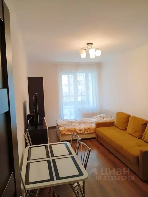 Студия Санкт-Петербург просп. Ветеранов, 175 (24.6 м) - Фото 2