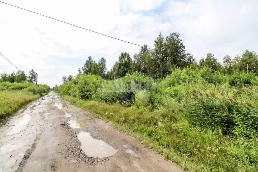 Участок 9 сот. (СНТ, ДНП) - Фото 1