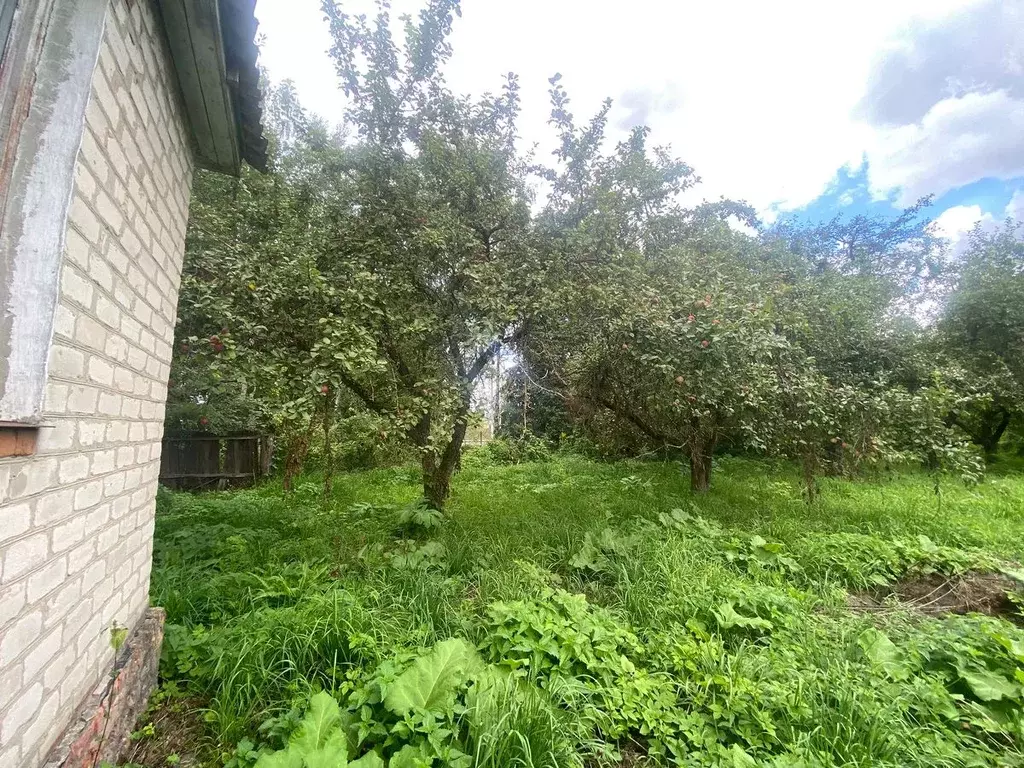 Дом в Орловская область, Хотынец пгт ул. Батова, 62 (85 м) - Фото 2