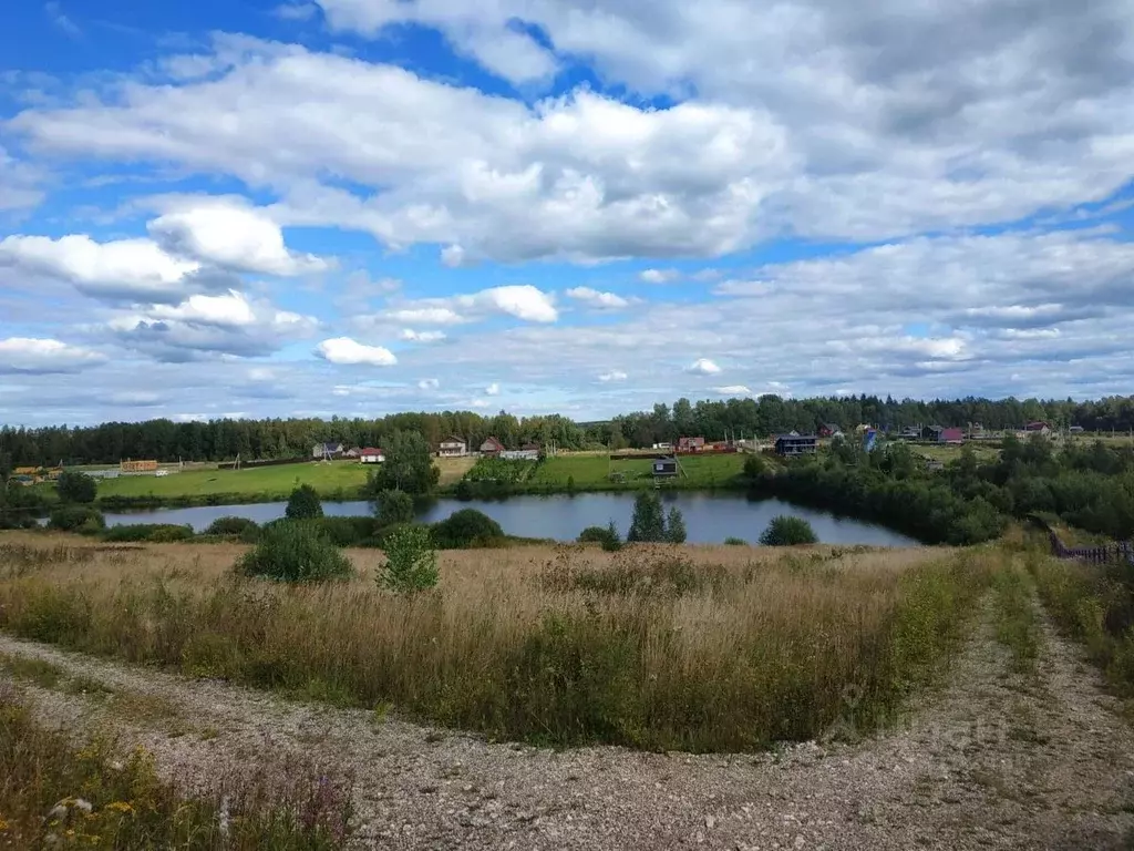 Участок в Московская область, Сергиево-Посадский городской округ, д. ... - Фото 1