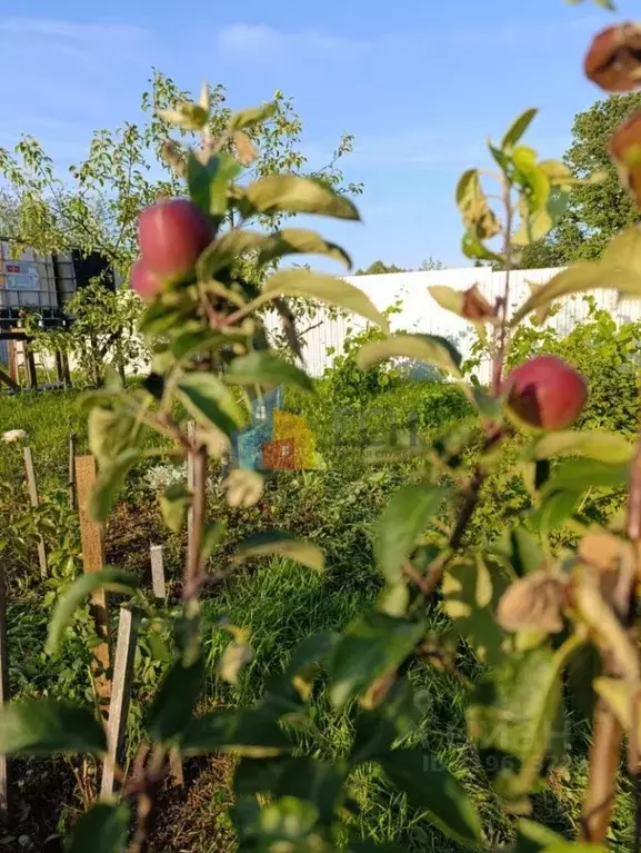 Участок в Тульская область, Тула городской округ, д. Жировка  (15.0 ... - Фото 1