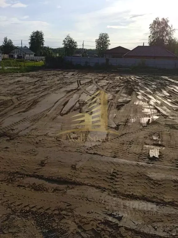 Участок в Новосибирская область, Новосибирский район, Кубовинский ... - Фото 1
