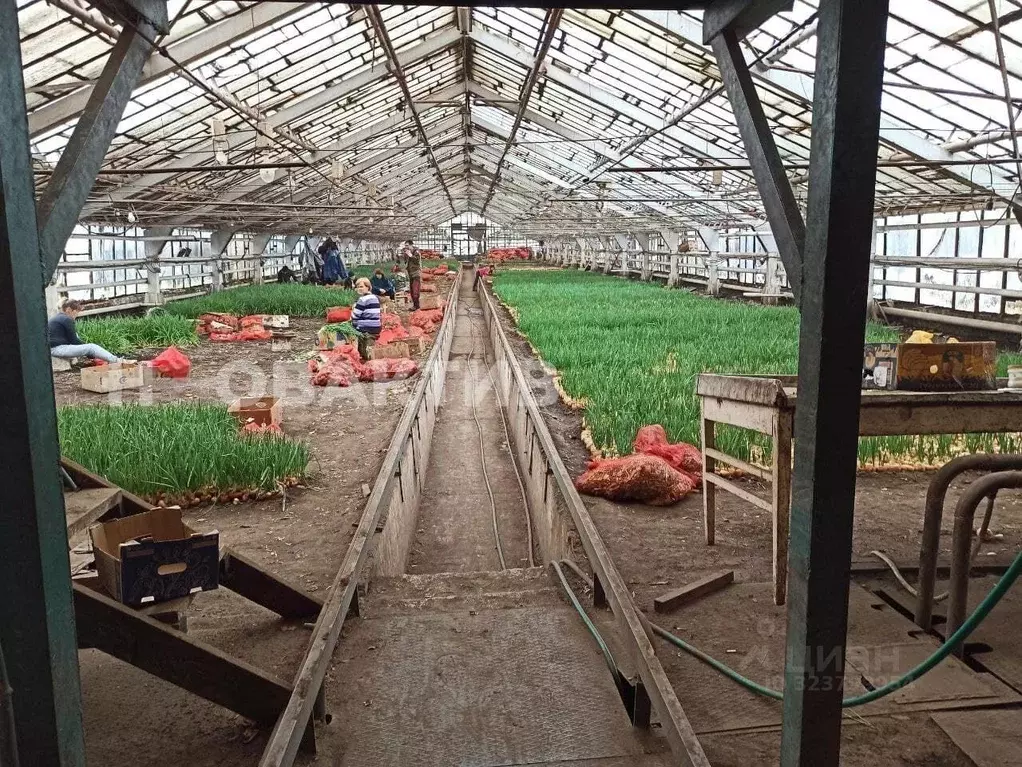 Производственное помещение в Новосибирская область, Искитим ... - Фото 1