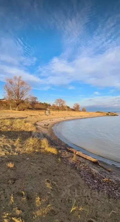 Участок в Новосибирская область, Новосибирский район, Морской ... - Фото 0