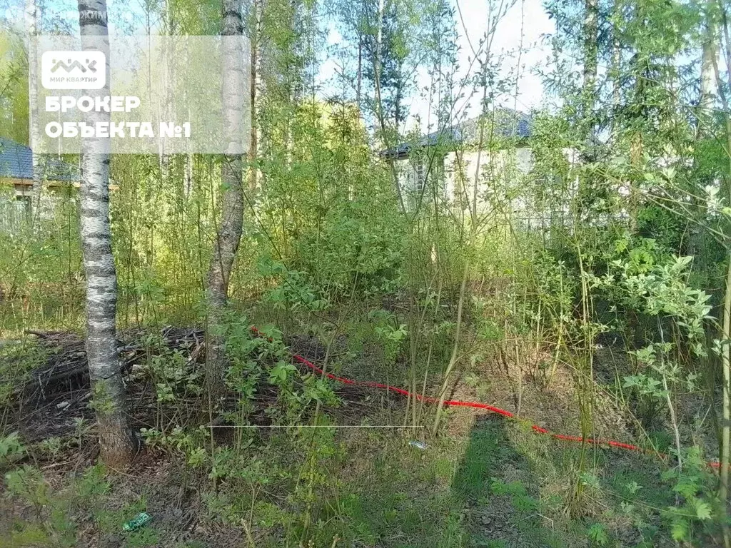 Участок в Всеволожск, Радужная улица, 30 (6.5 м) - Фото 0