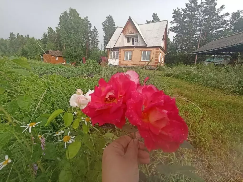 Дом в Красноярский край, Емельяново городское поселение, д. Крутая  ... - Фото 0