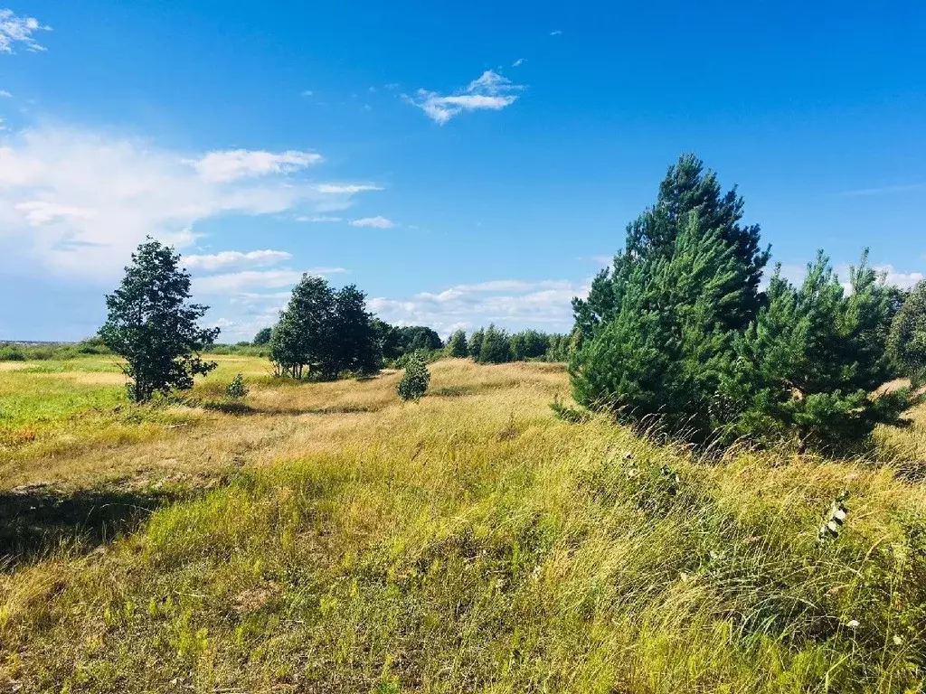 Участок в Псковская область, Гдовский район, д. Стропицы  (591.0 сот.) - Фото 0