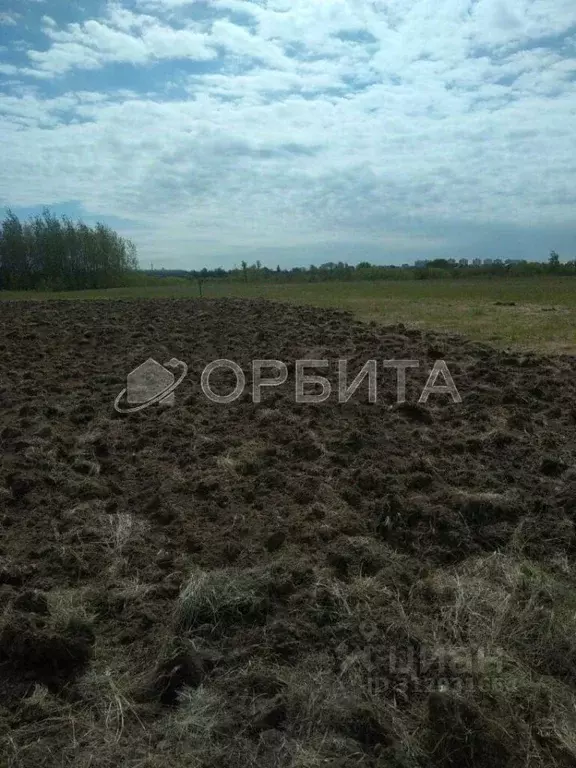 Участок в Тюменская область, Тюменский район, с. Ембаево  (13.0 сот.) - Фото 1