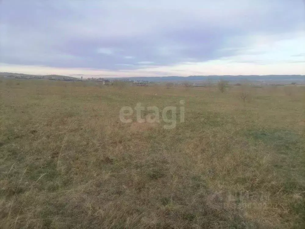 Участок в Забайкальский край, Чита ул. Турмалиновая (10.0 сот.) - Фото 1