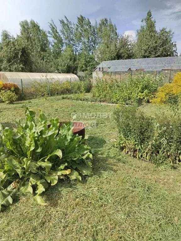 Участок в Нижегородская область, Бор ул. Тургенева (4.2 сот.) - Фото 2